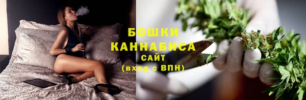 индика Заволжск
