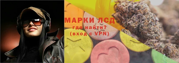 индика Заволжск