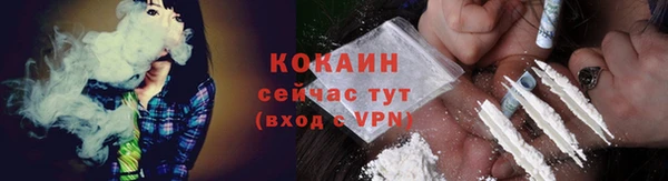 сатива Заводоуковск