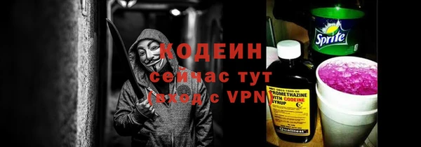 индика Заволжск