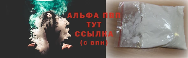 индика Заволжск