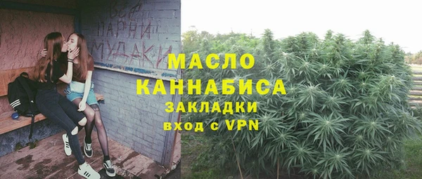 индика Заволжск
