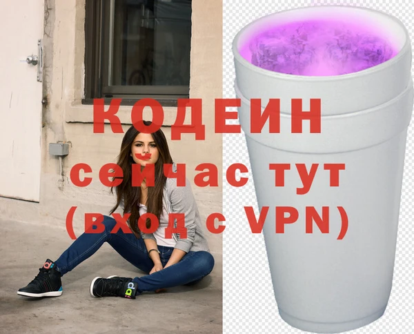 сатива Заводоуковск