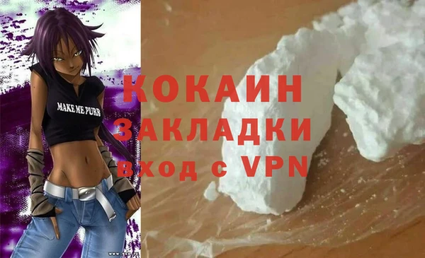 сатива Заводоуковск