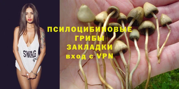 индика Заволжск