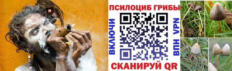 Галлюциногенные грибы мухоморы  Купить где  Новоалександровск 